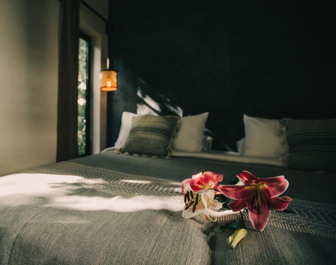 Ambre & Epices Jungle Hotel & Spa Tulum Dış mekan fotoğraf